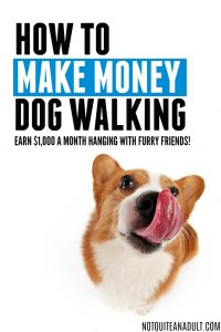 how to make money dog walking | how to make money dog sitting | side hustle ideas | how to make $1000 a month on the side | side income #makemoney