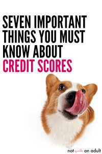 credit scores DON'T need to be complicated, these seven common credit score questions are exactly what you need to know to repair your bad credit, raise your credit score, and understand your credit for life. #notquiteanadult 